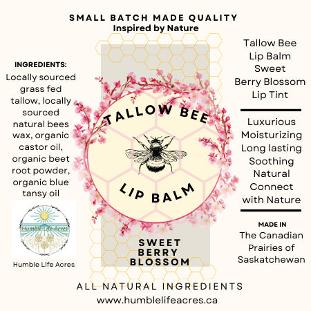 Tallow Bee Lip Balm - Trio