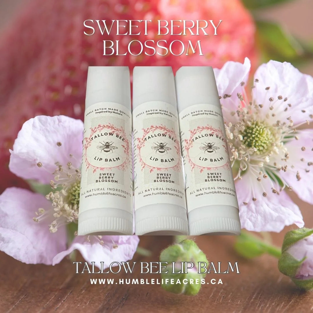 Tallow Bee Lip Balm - Trio