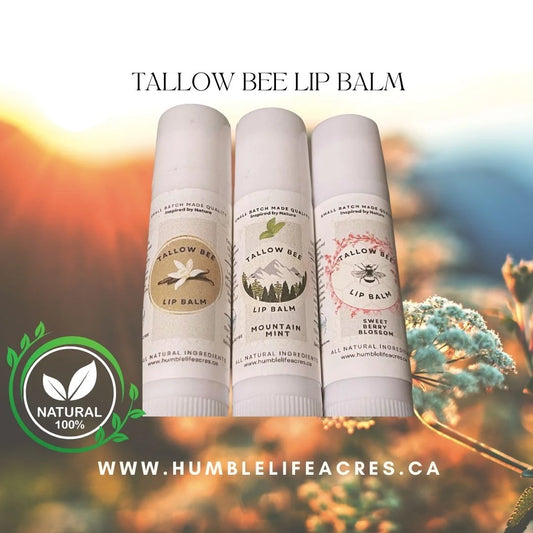 Tallow Bee Lip Balm - Trio