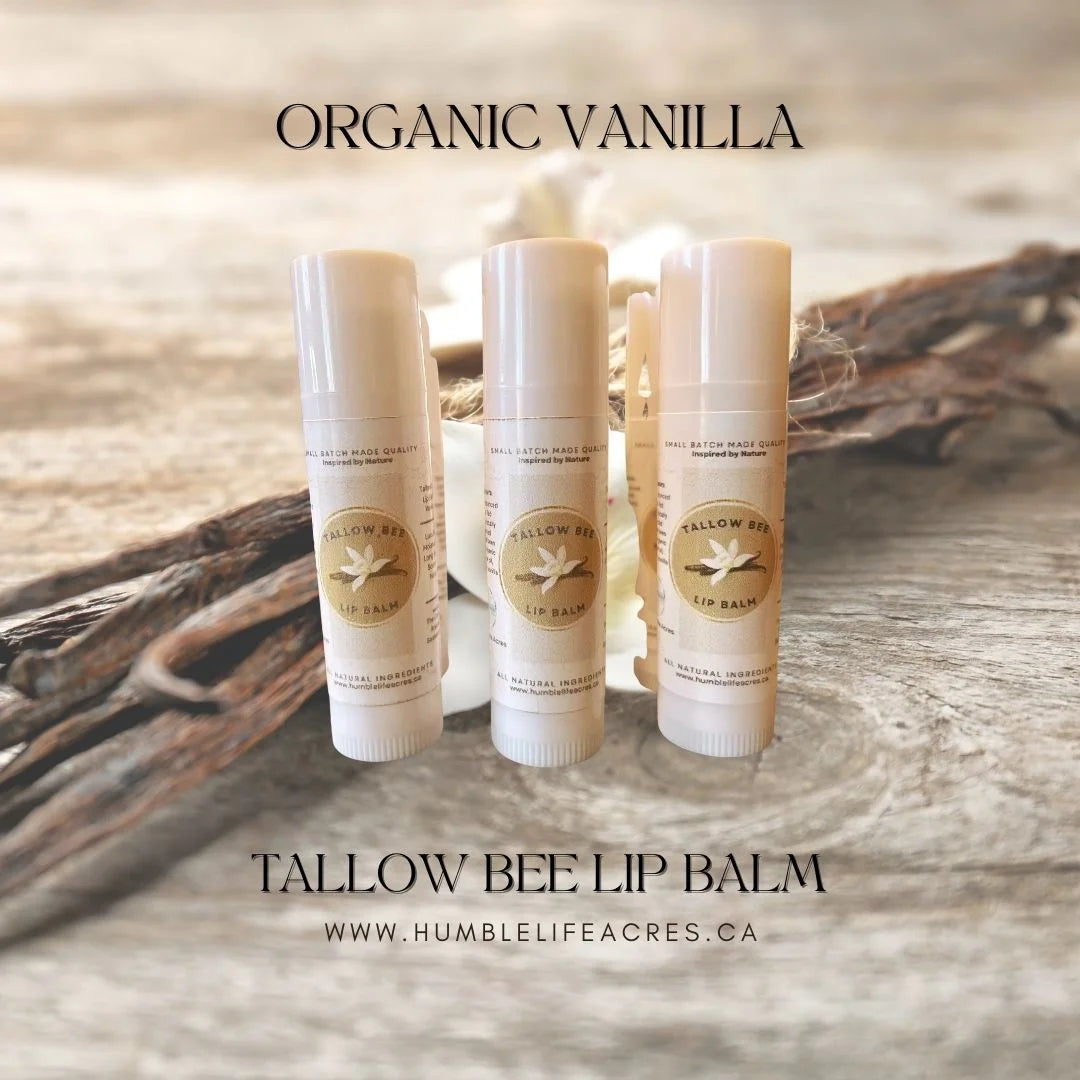 Tallow Bee Lip Balm - Trio