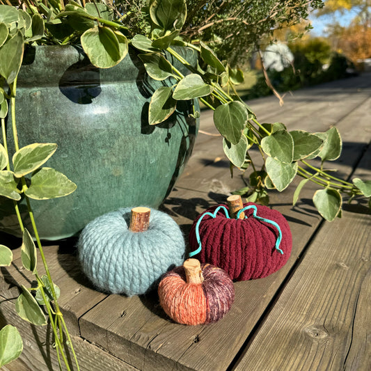 Pumpkin Bundle #5