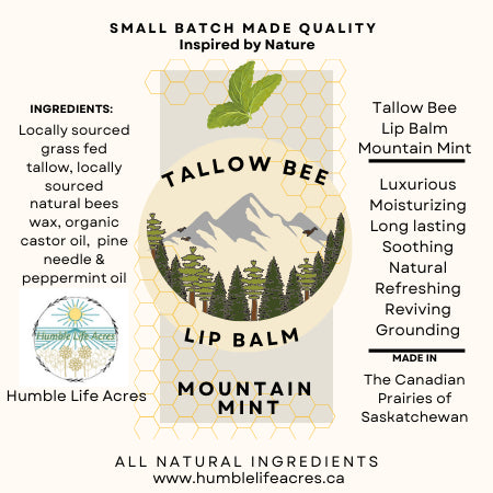 Tallow Bee Lip Balm - Mountain Mint