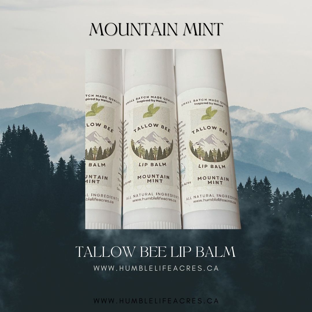 Tallow Bee Lip Balm - Mountain Mint